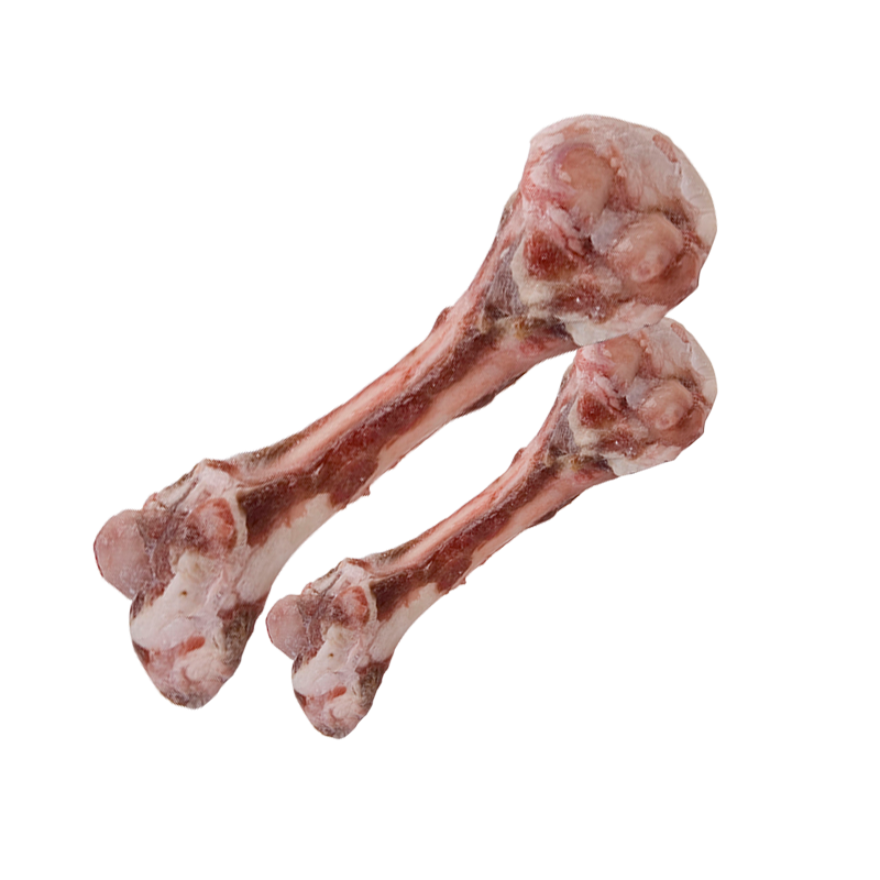 Mutton Femour Bone